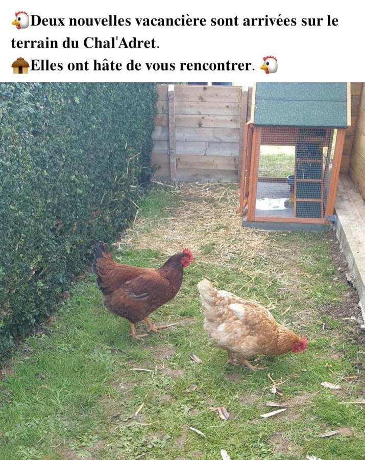 Le Chal Adret Villa Cardonville Bagian luar foto